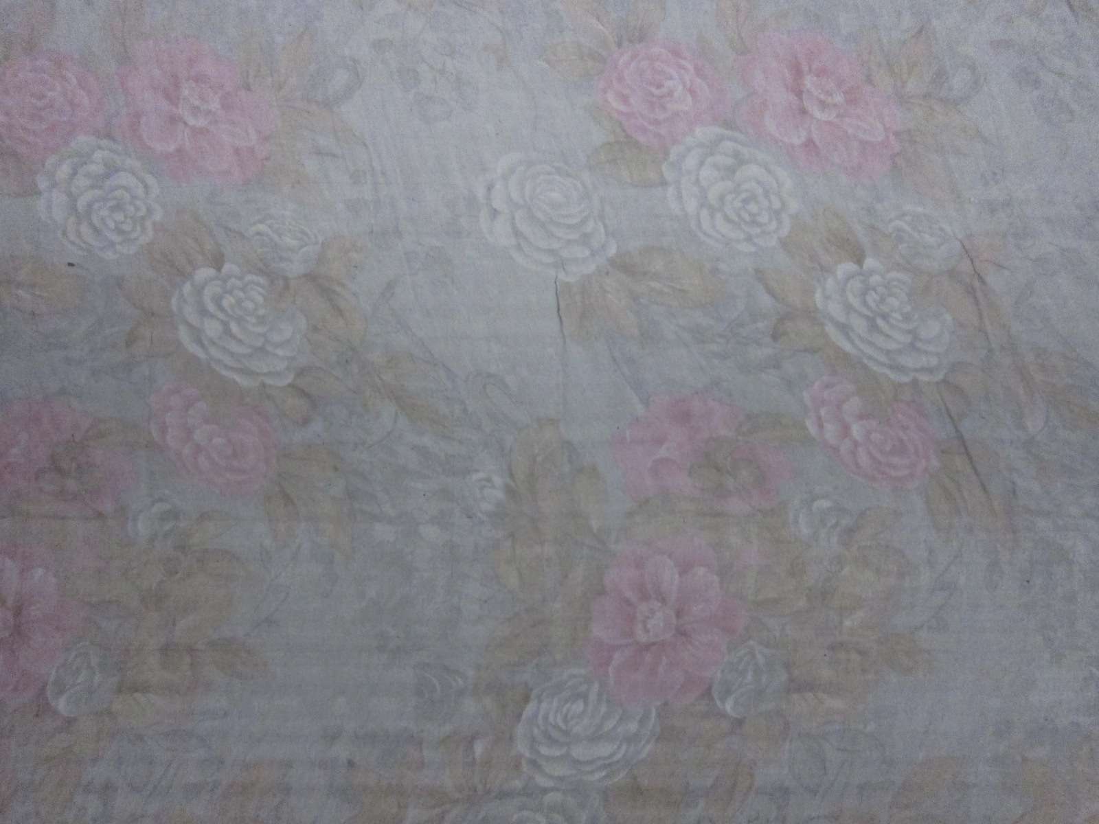 Iridescent Silk Chiffon Print1