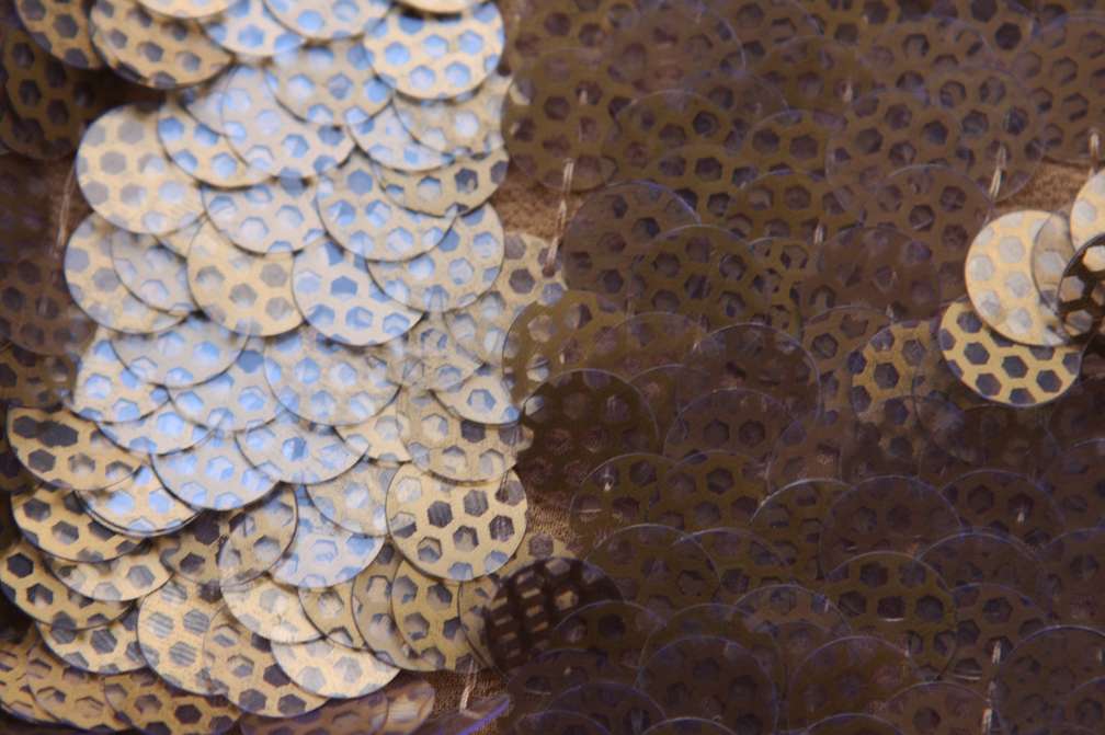 Novelty Paillettes on Silk Chiffon3