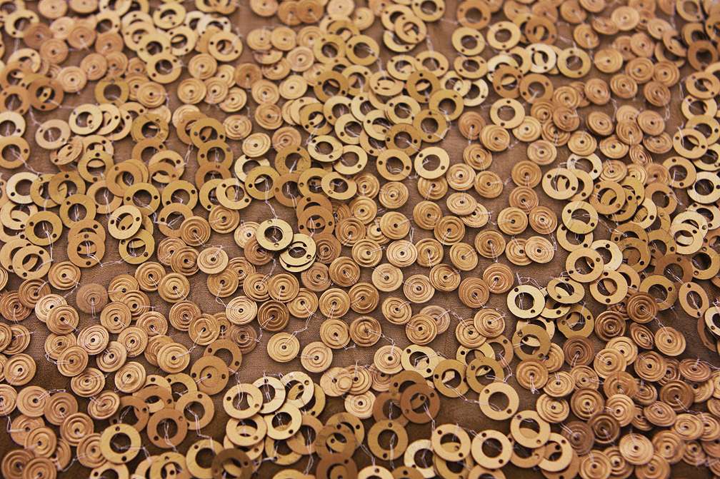 Sequins on Silk Chiffon0