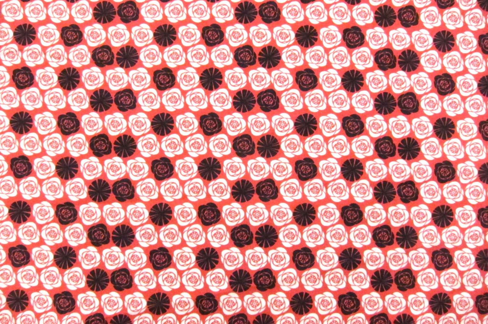 Cotton Broadcloth Print0