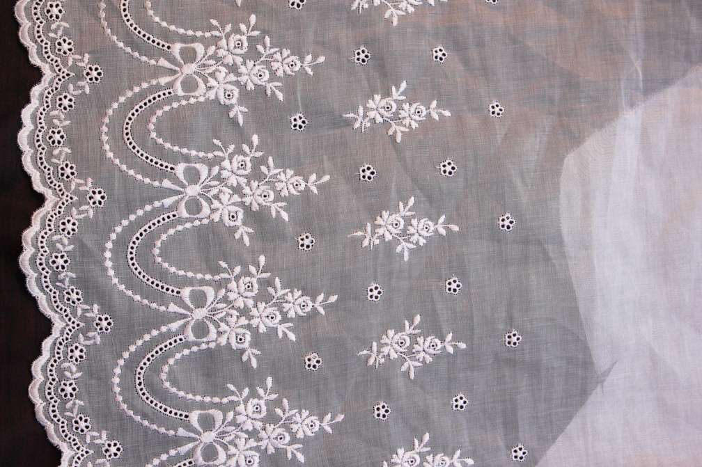 Cotton Embroidered Organdy1