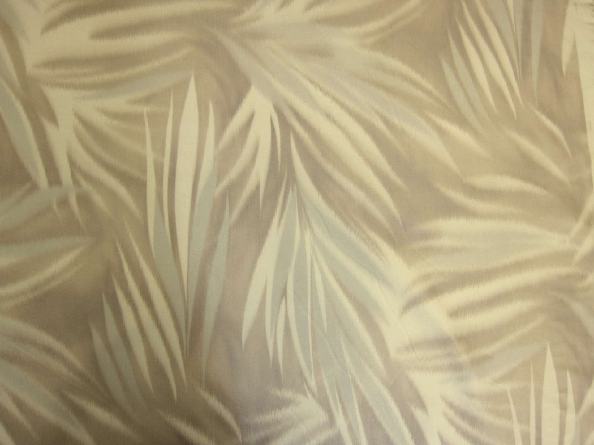 Silk Warp Taffeta0