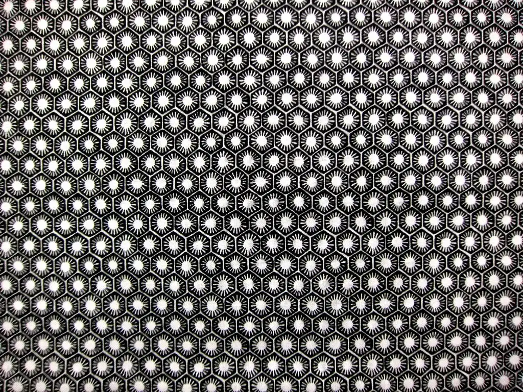 Cotton Broadcloth Print0