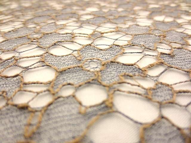 Chantilly Lace2