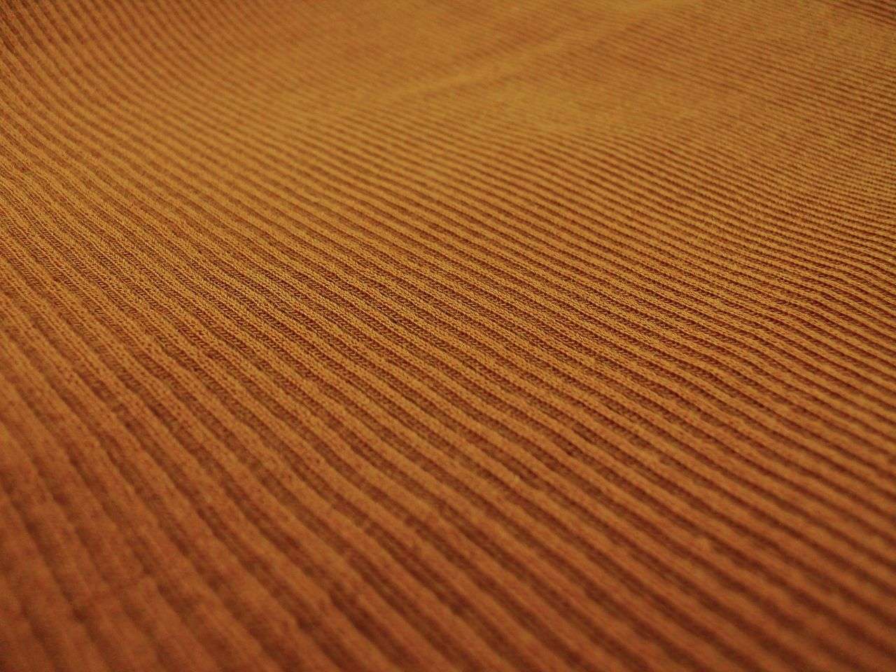 Virgin Wool Rib Knit in Rust2