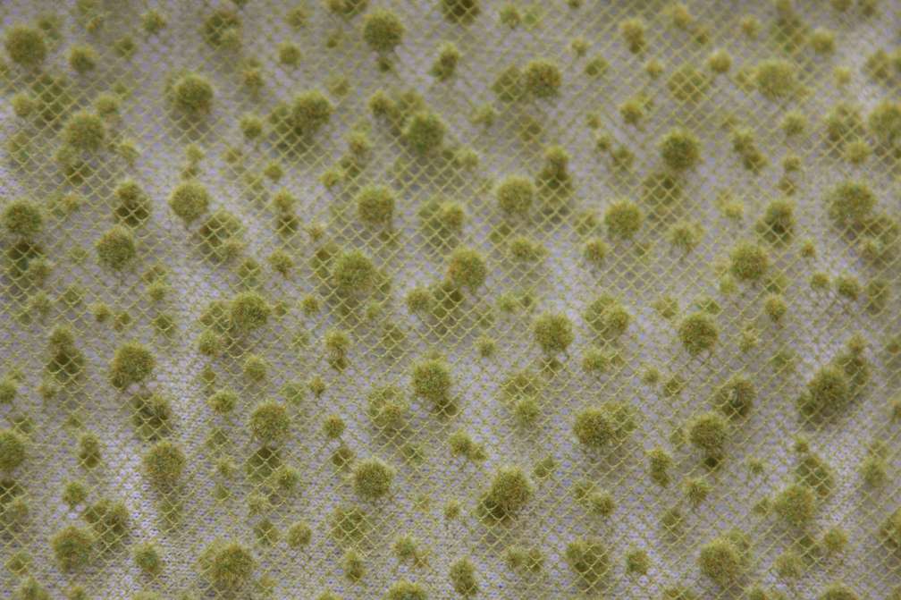 Flocking on Tulle3