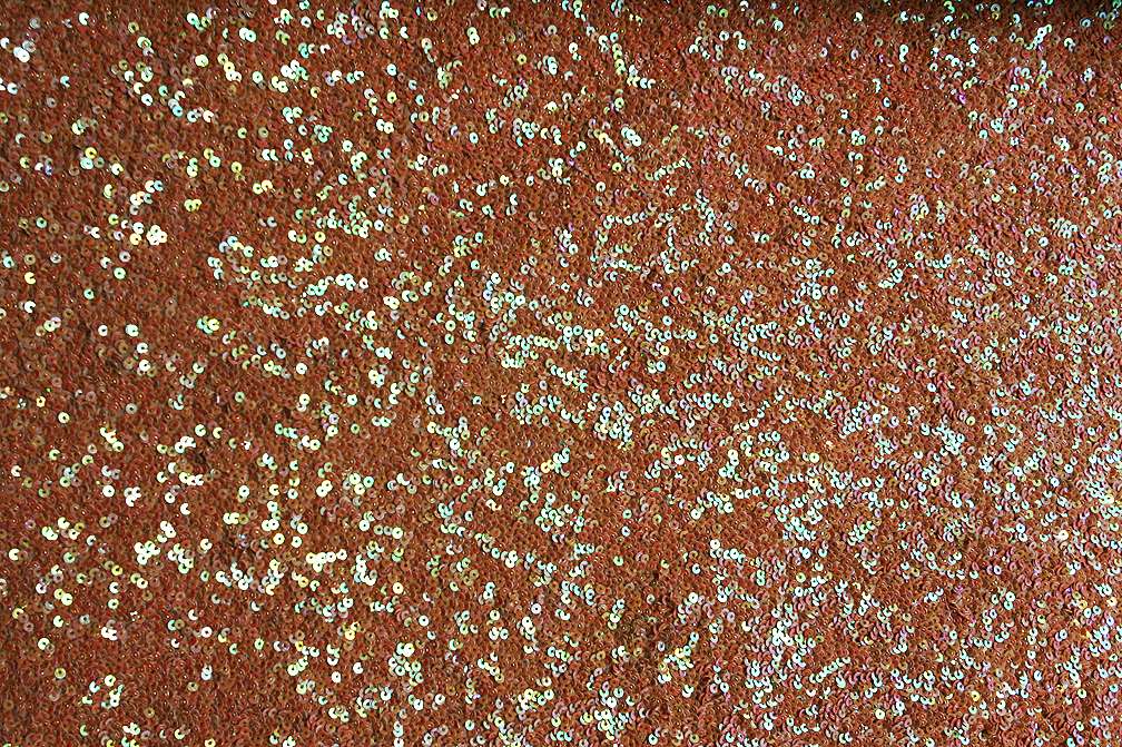 Sequins on Silk Chiffon0