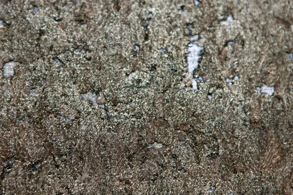 Brushed Platinum Cork2