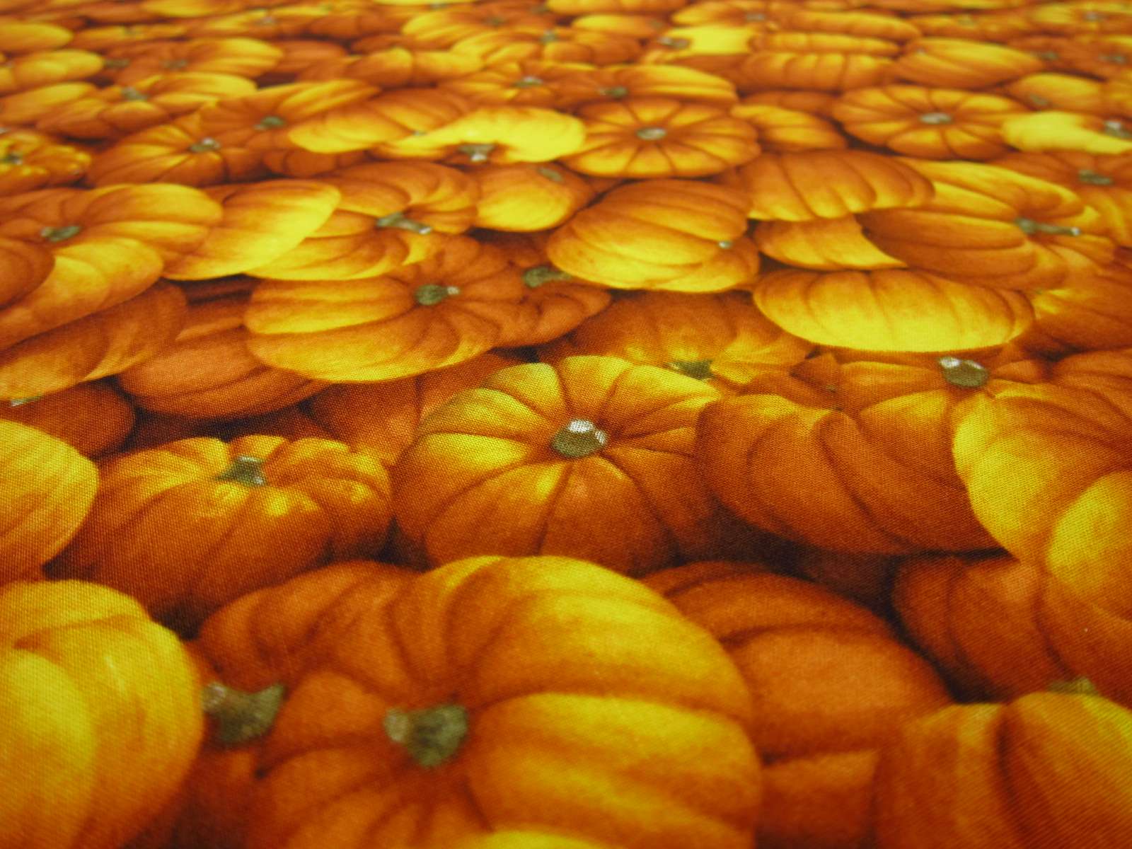 Cotton Broadcloth Print2