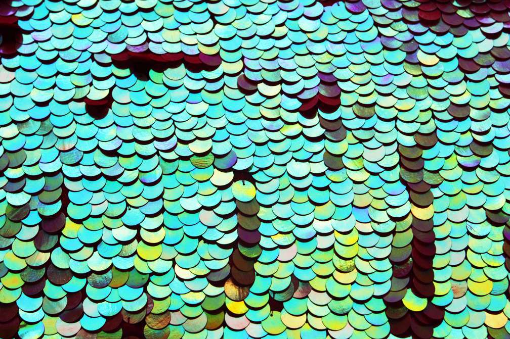 Novelty Pailettes on Silk Chiffon1