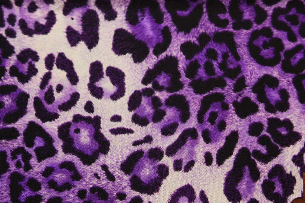 Jersey Print1