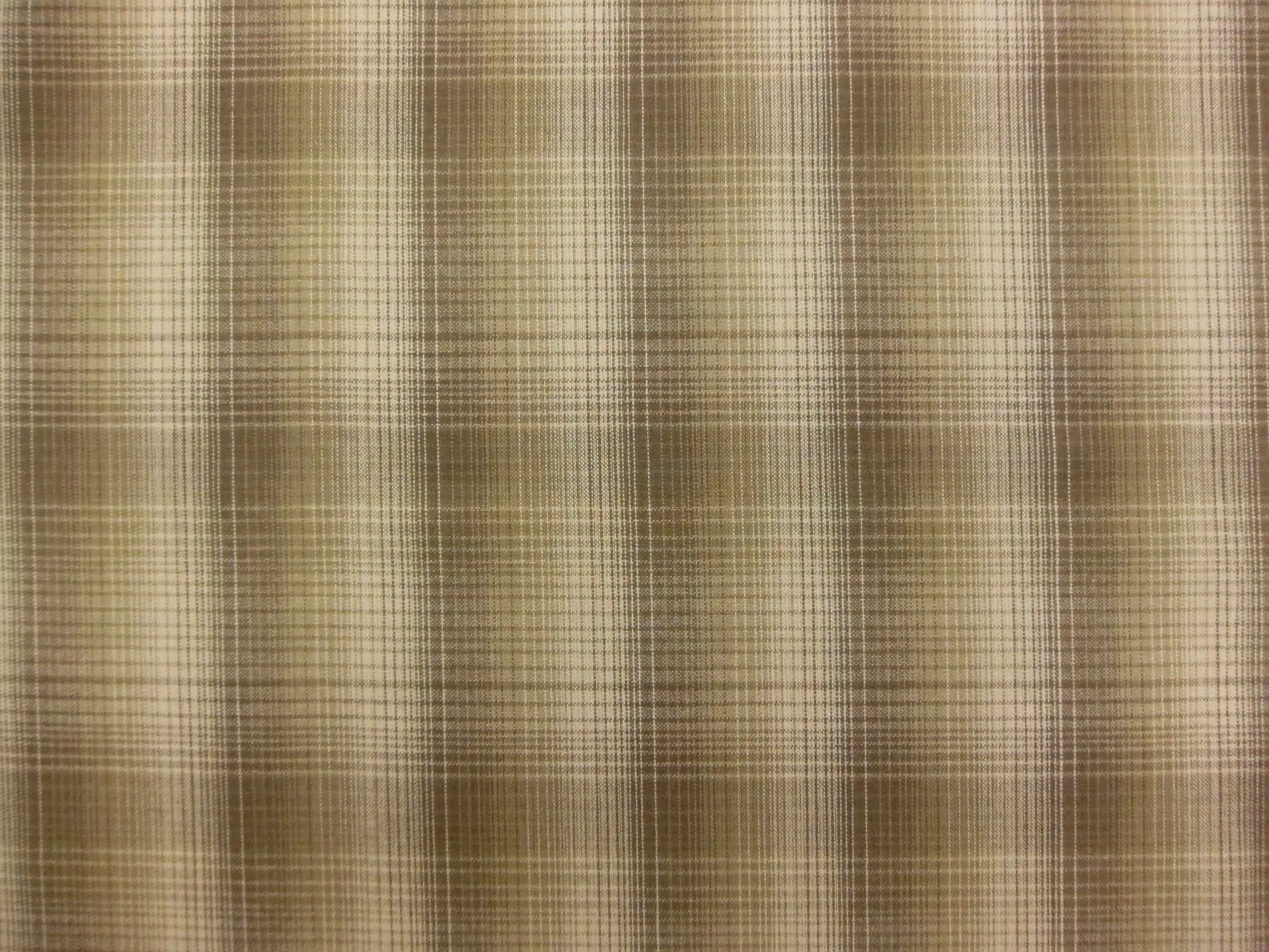 Woven Cotton Novelty Plaid in Olive