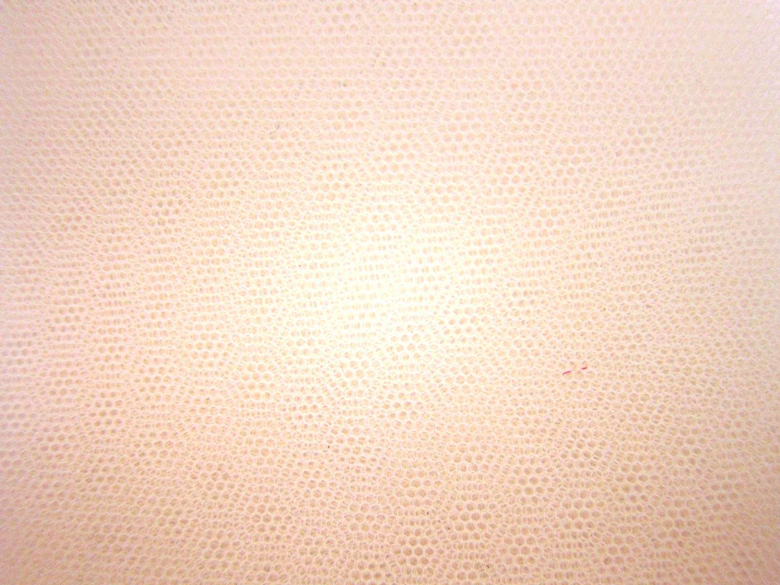 Italian Nylon Tulle in Salmone0