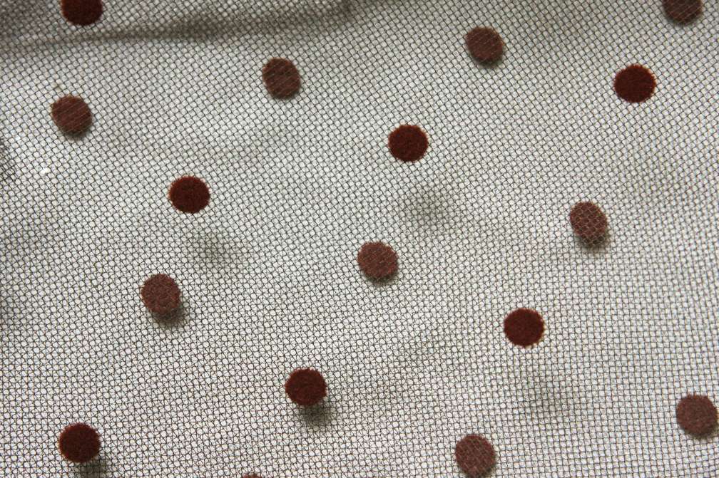 Flocked Dots on Illusion2