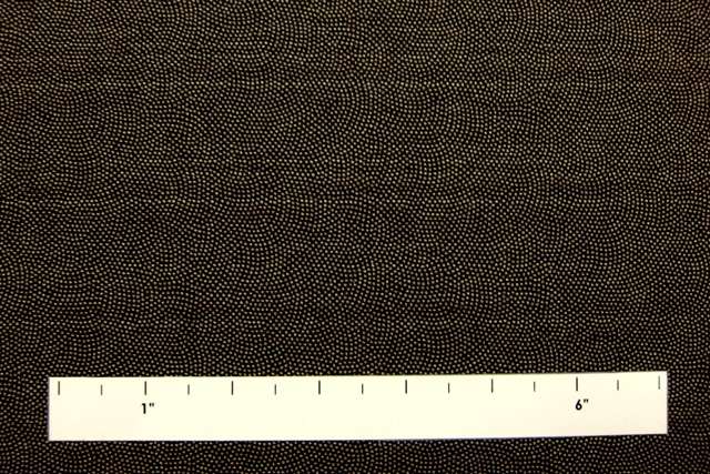 Japanese Cotton Doubleface Print2