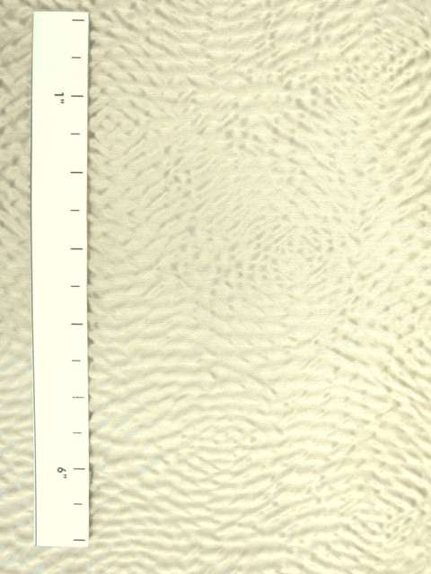 Silk and Cotton Satin Cloqué1