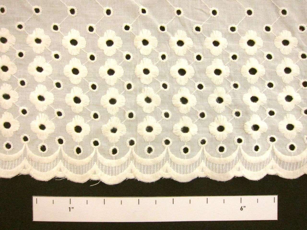 Cotton Eyelet in Bone1