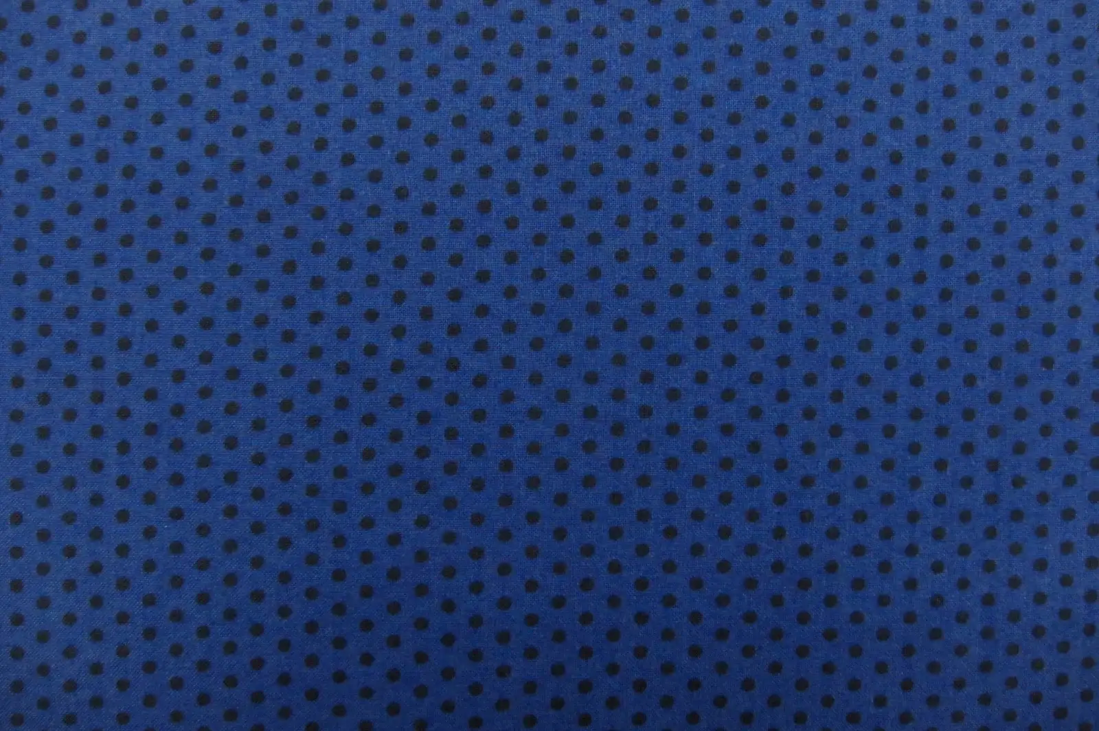 Cotton Broadcloth Print0