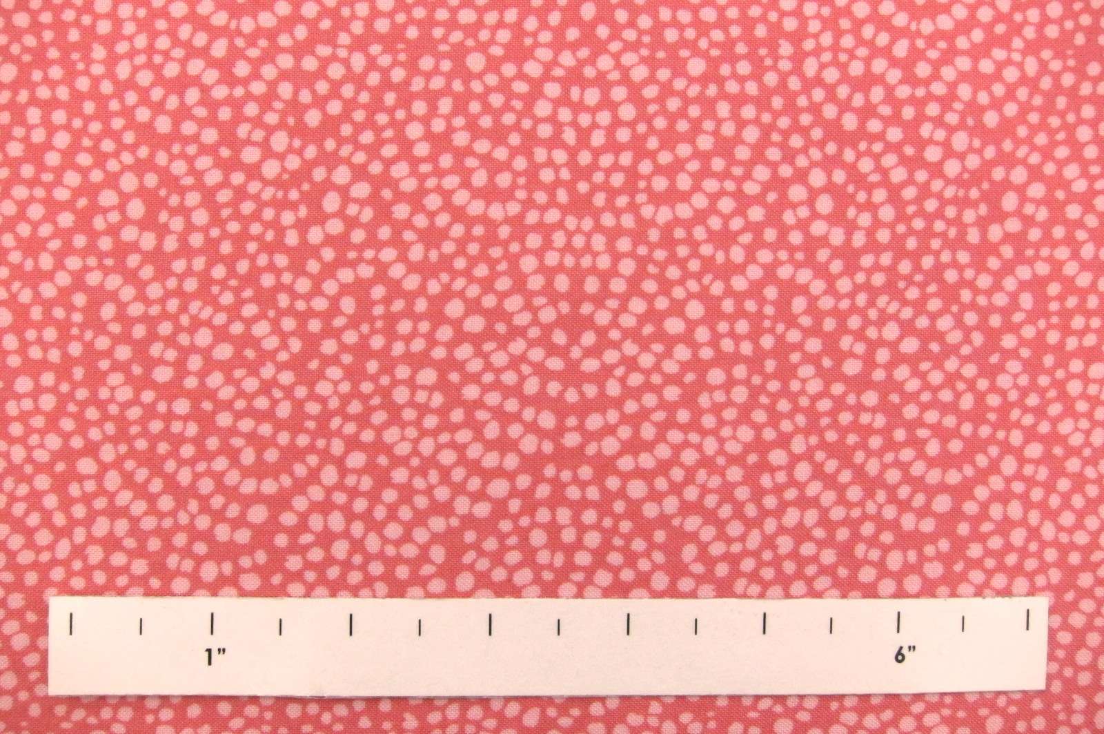 Cotton Broadcloth Print1