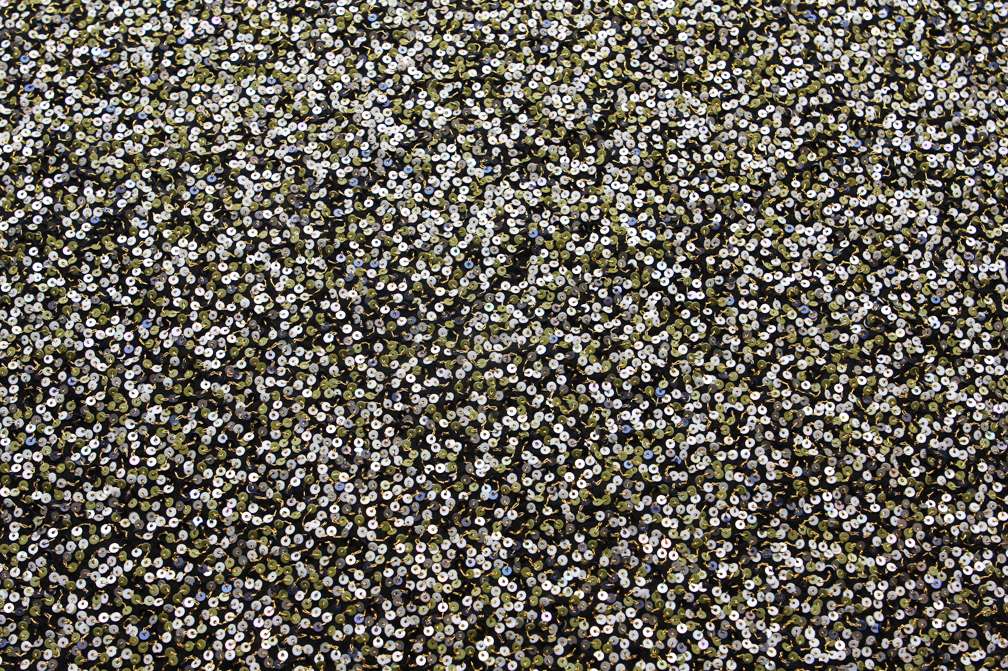 Sequins on Silk Chiffon0