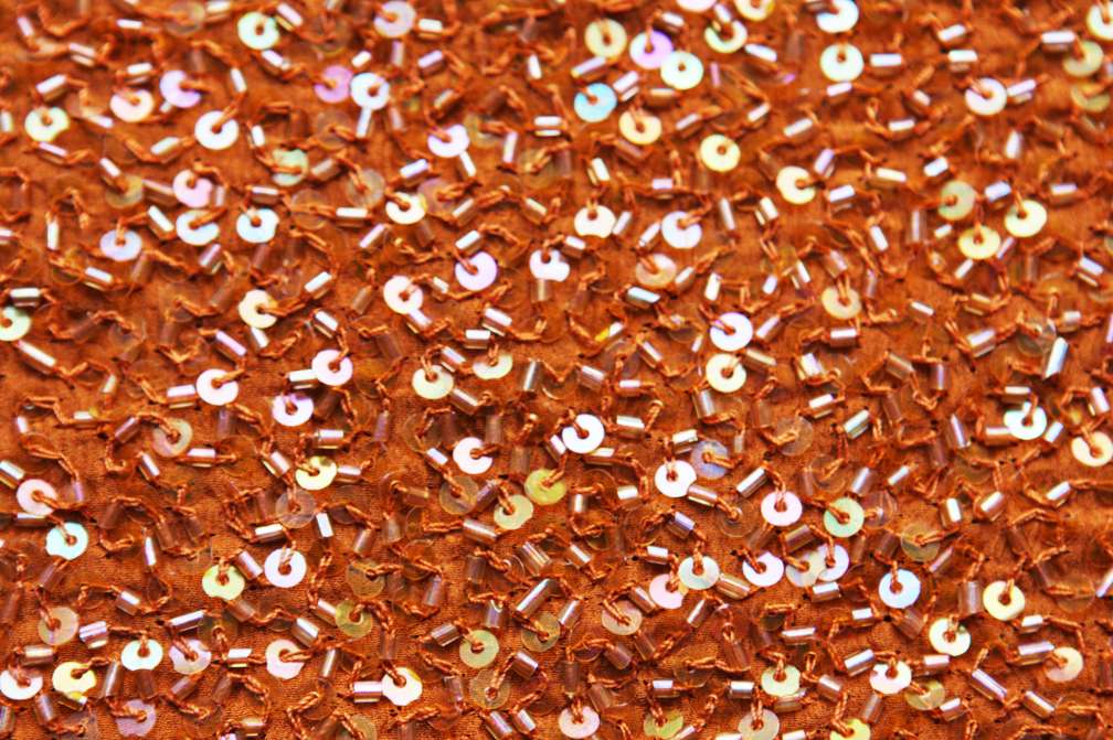 Sequins on Silk Chiffon2
