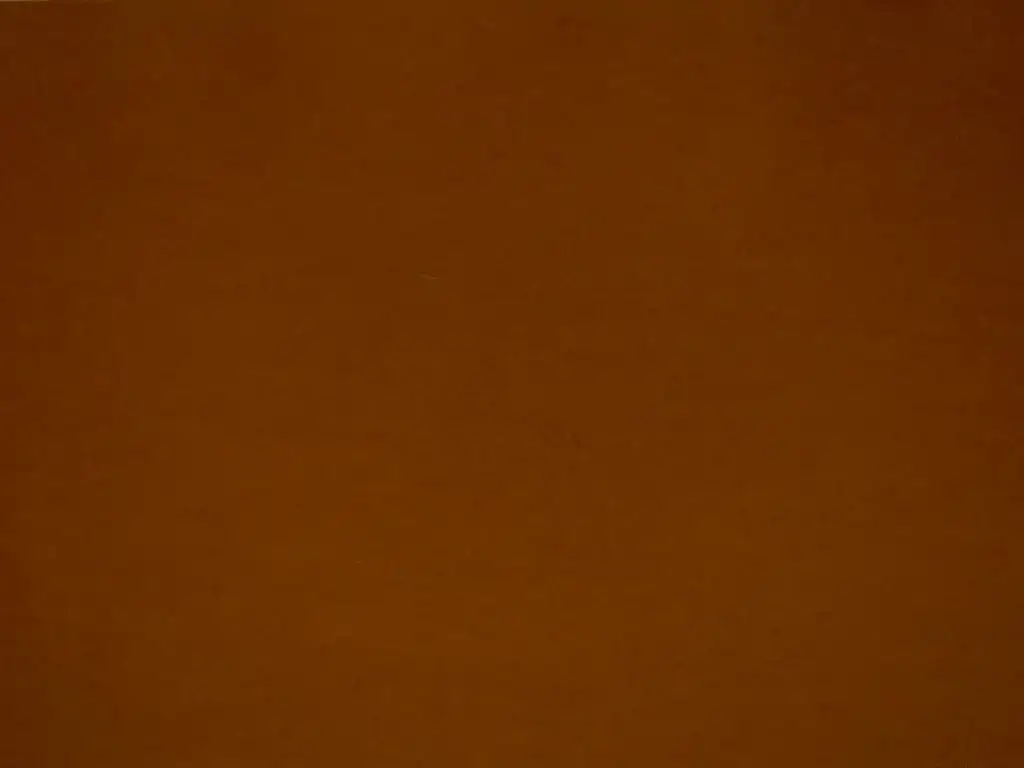 Wool Felt 1mm in Rust0