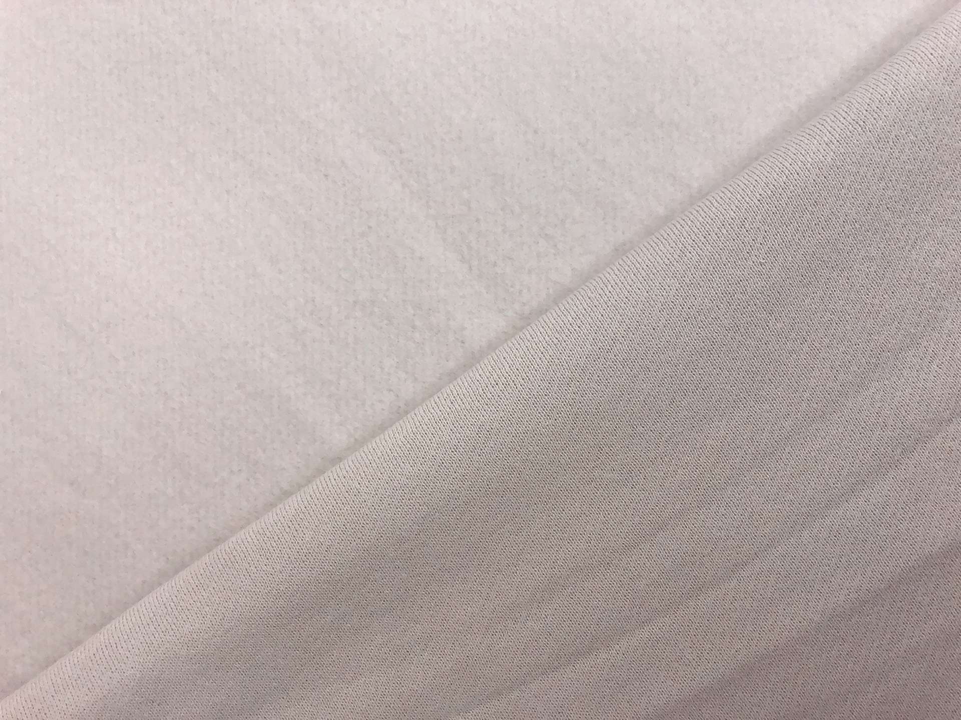 Japanese Cotton Sweatshirt Fleece in Beige