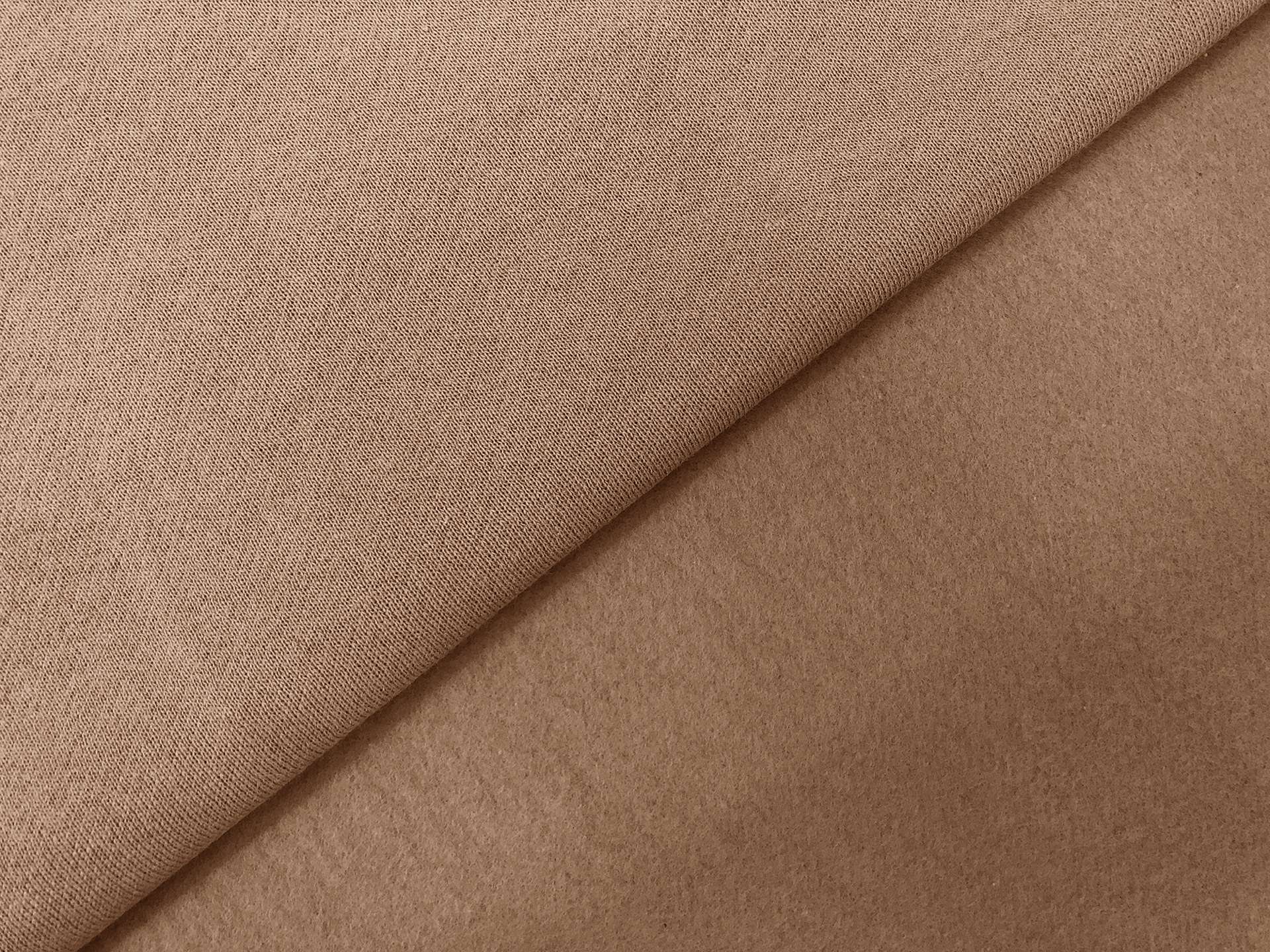 Japanese Cotton Sweatshirt Fleece in Tan