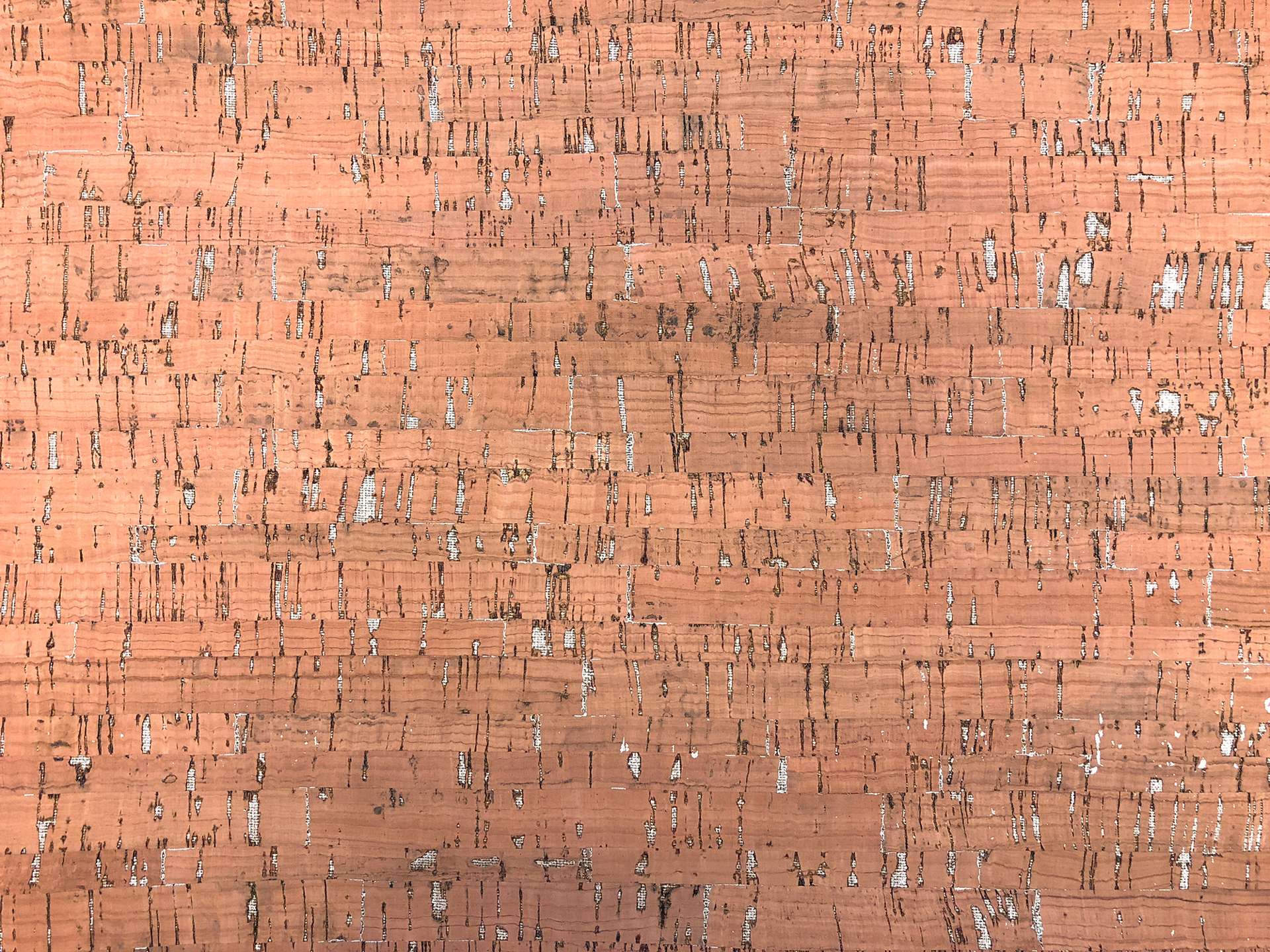 Metallic Cork in Natural Gold