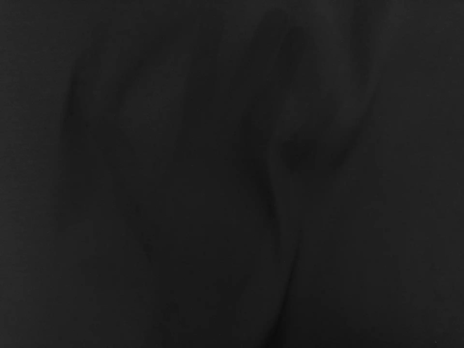 Italian Stretch Poly Silk Blend Organza in Black