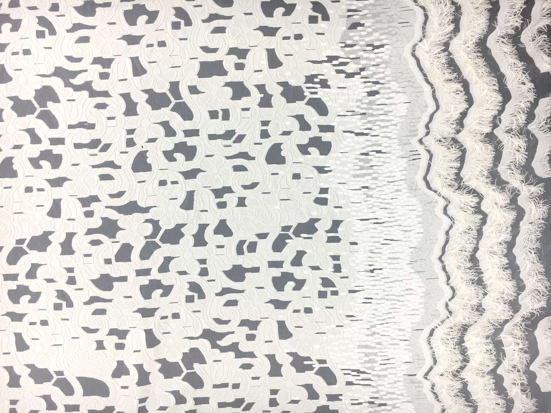 Fil Coupe Silk Organza with Fringe Border
