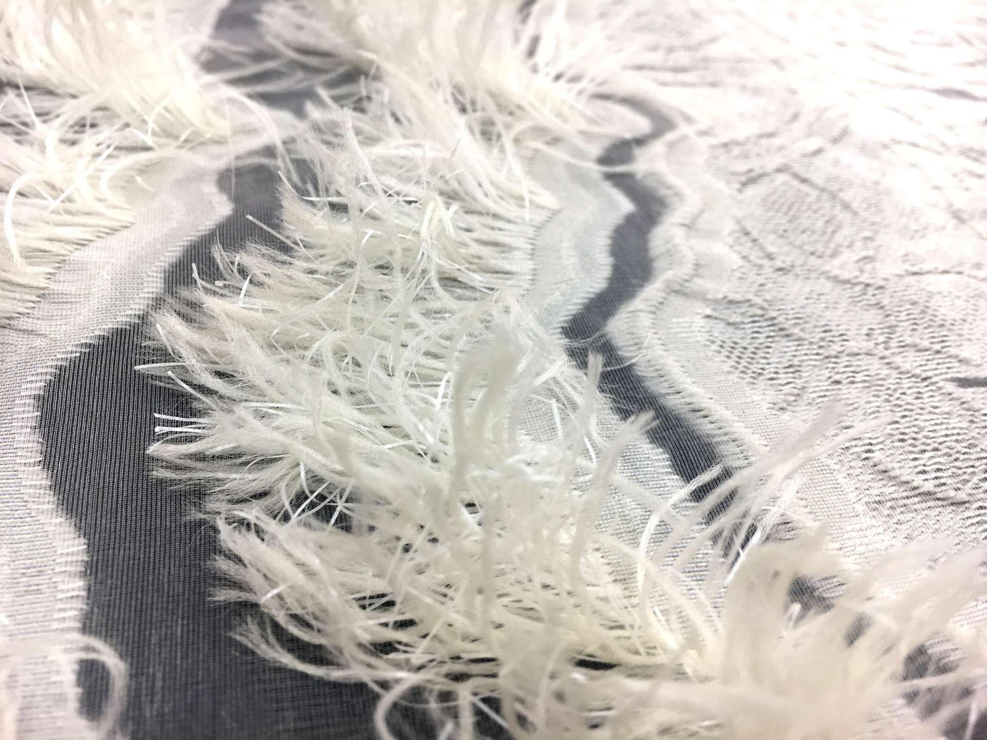 Fil Coupe Silk Organza with Fringe Border