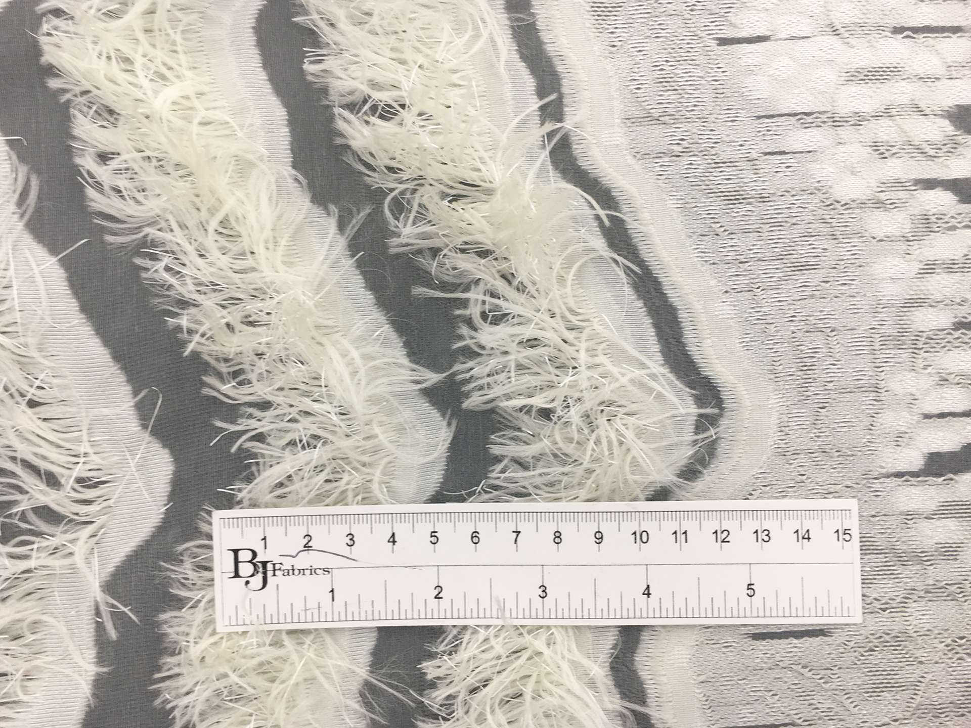Fil Coupe Silk Organza with Fringe Border