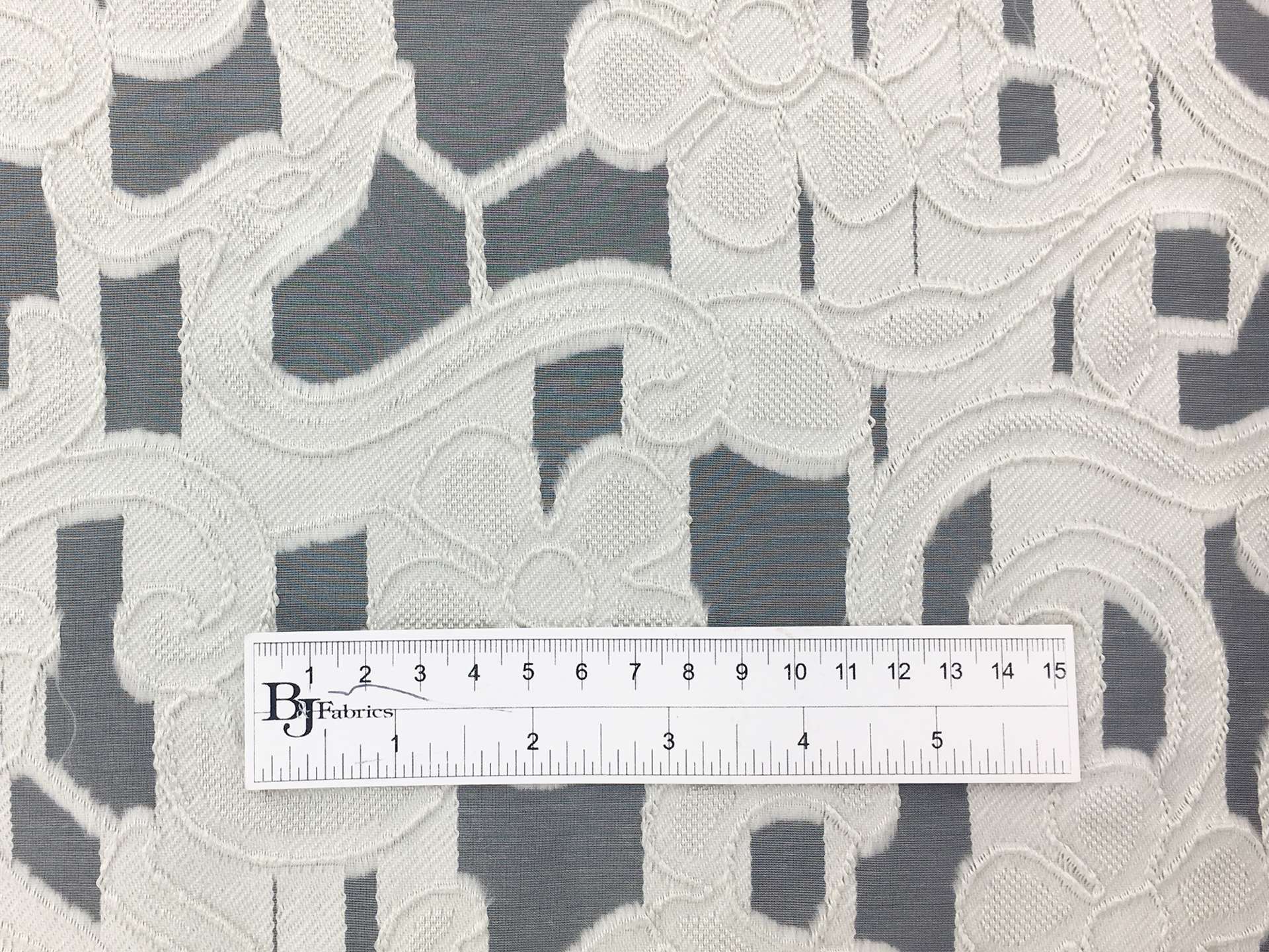 Fil Coupe Silk Organza with Fringe Border