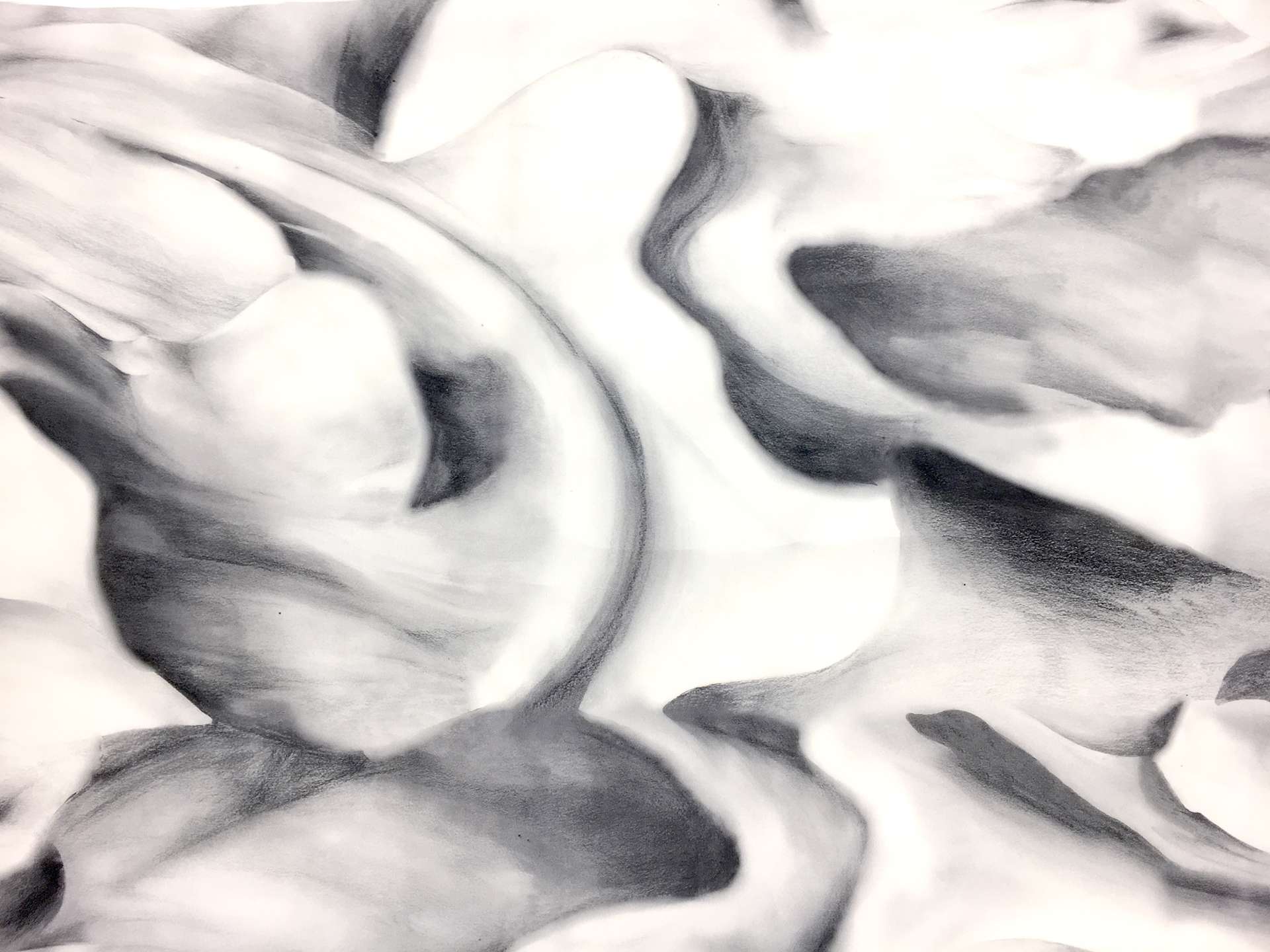 Printed Silk Couture Gazar