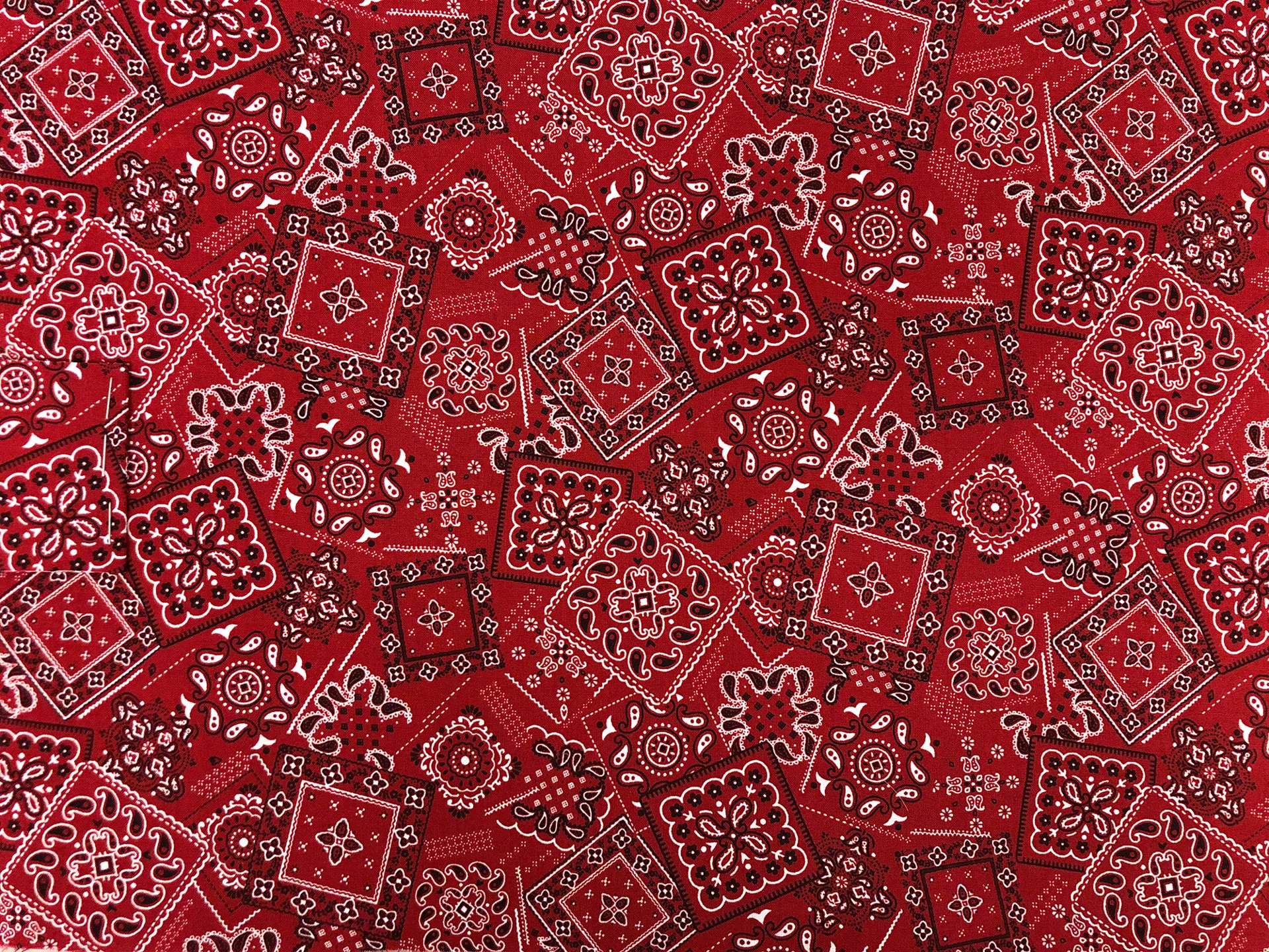 Cotton Broadcloth Paisley Print in Red