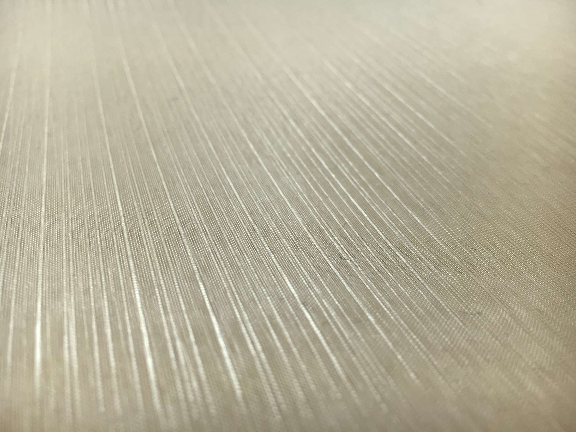 Crystal Stripe Polyester Organza in Mink