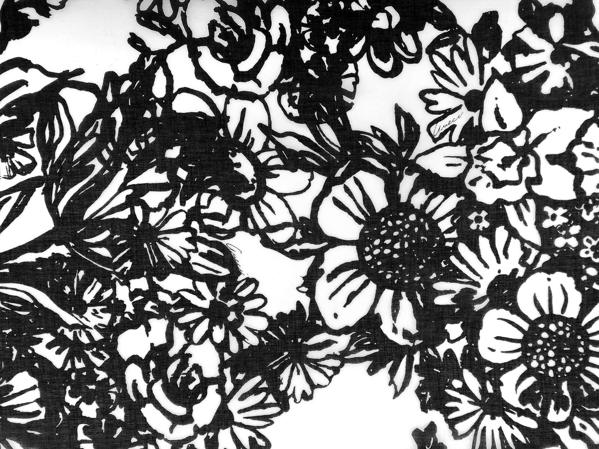 Designer Cotton Voile in Black and White