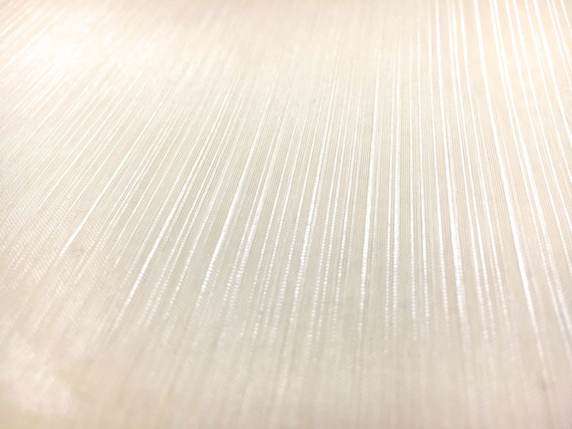 Crystal Stripe Polyester Organza in Champagne