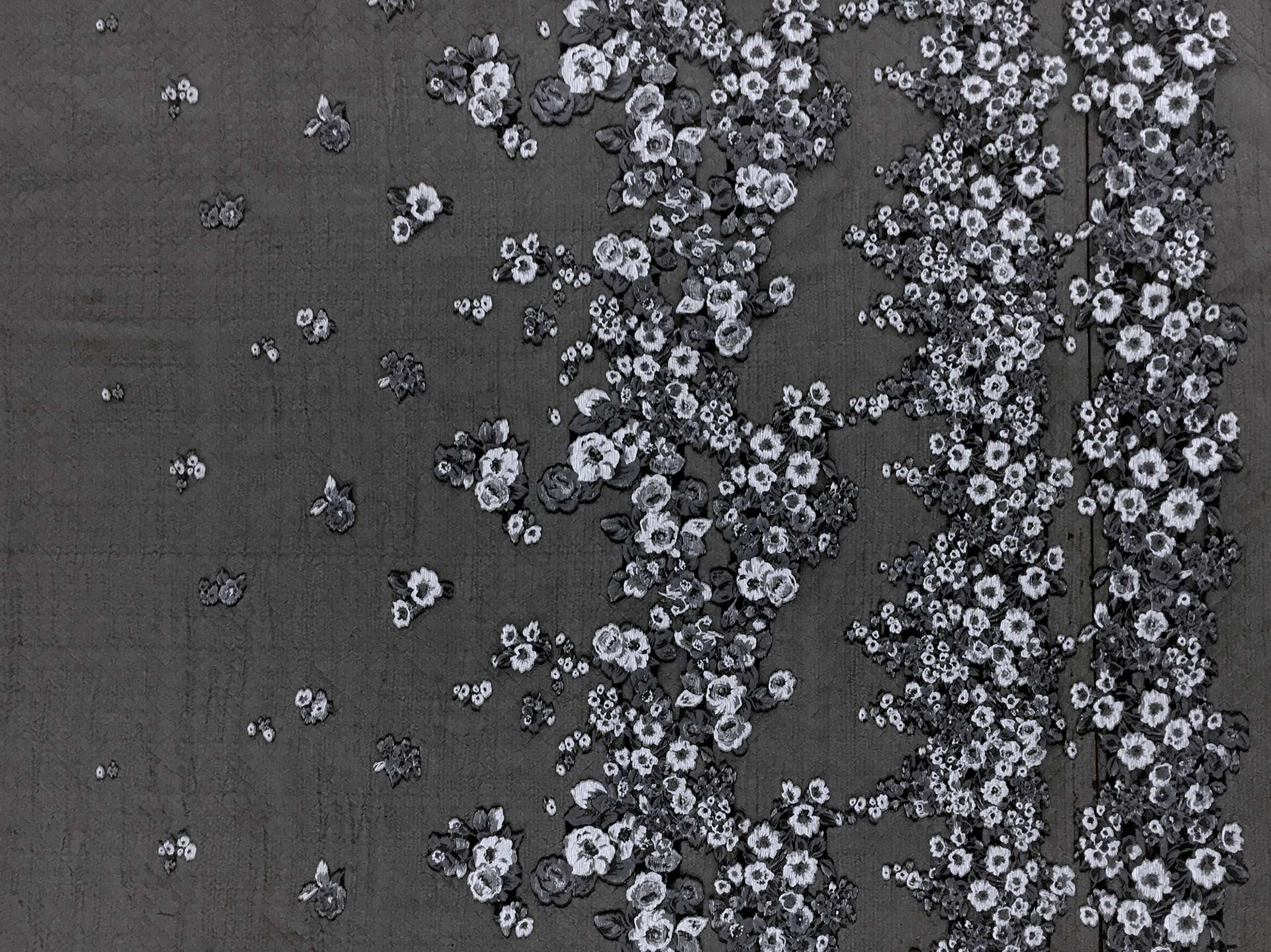 degrade panel1