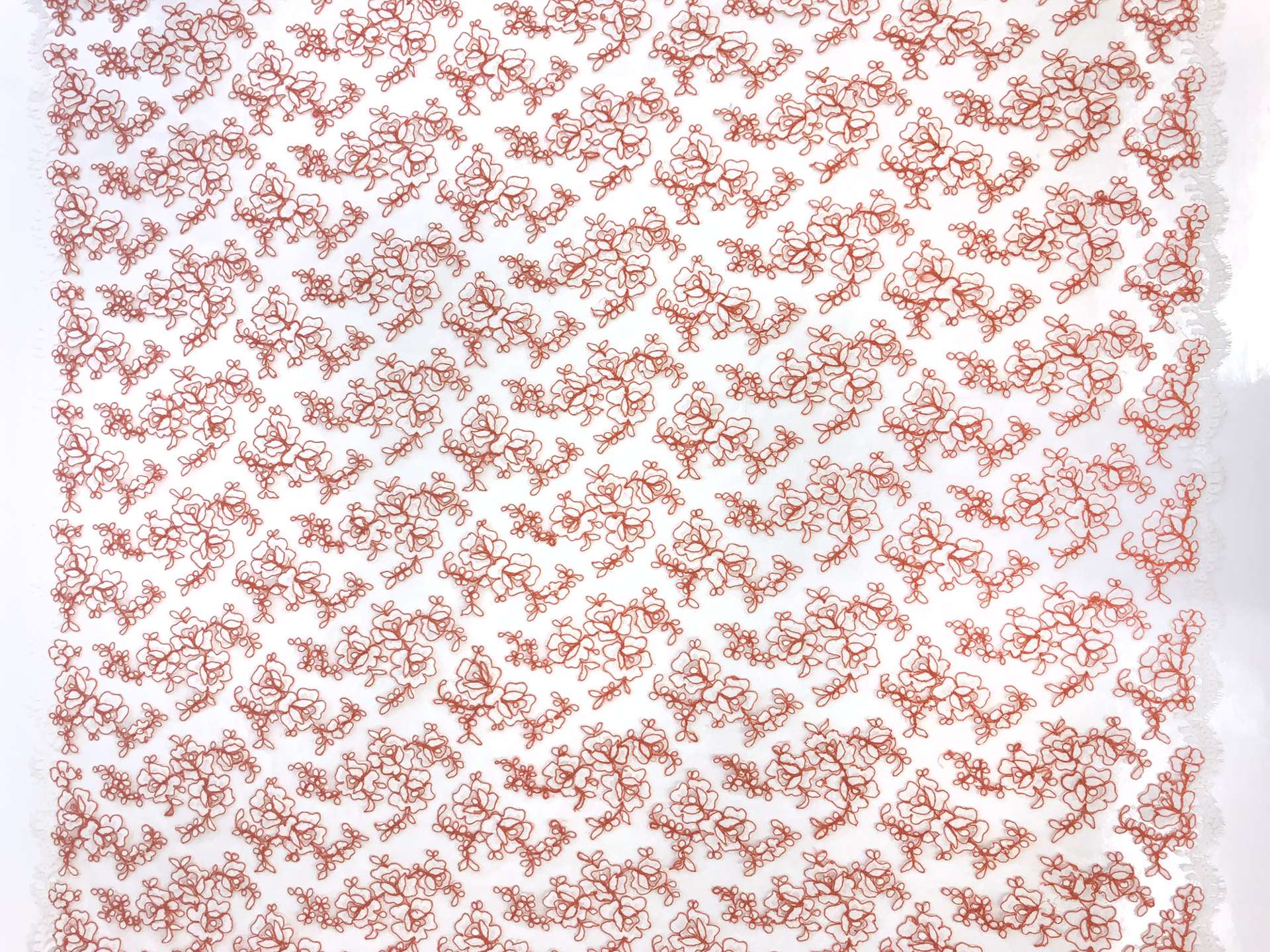 Double scallop floral corded French Chantilly Lace in White and Terracotta 