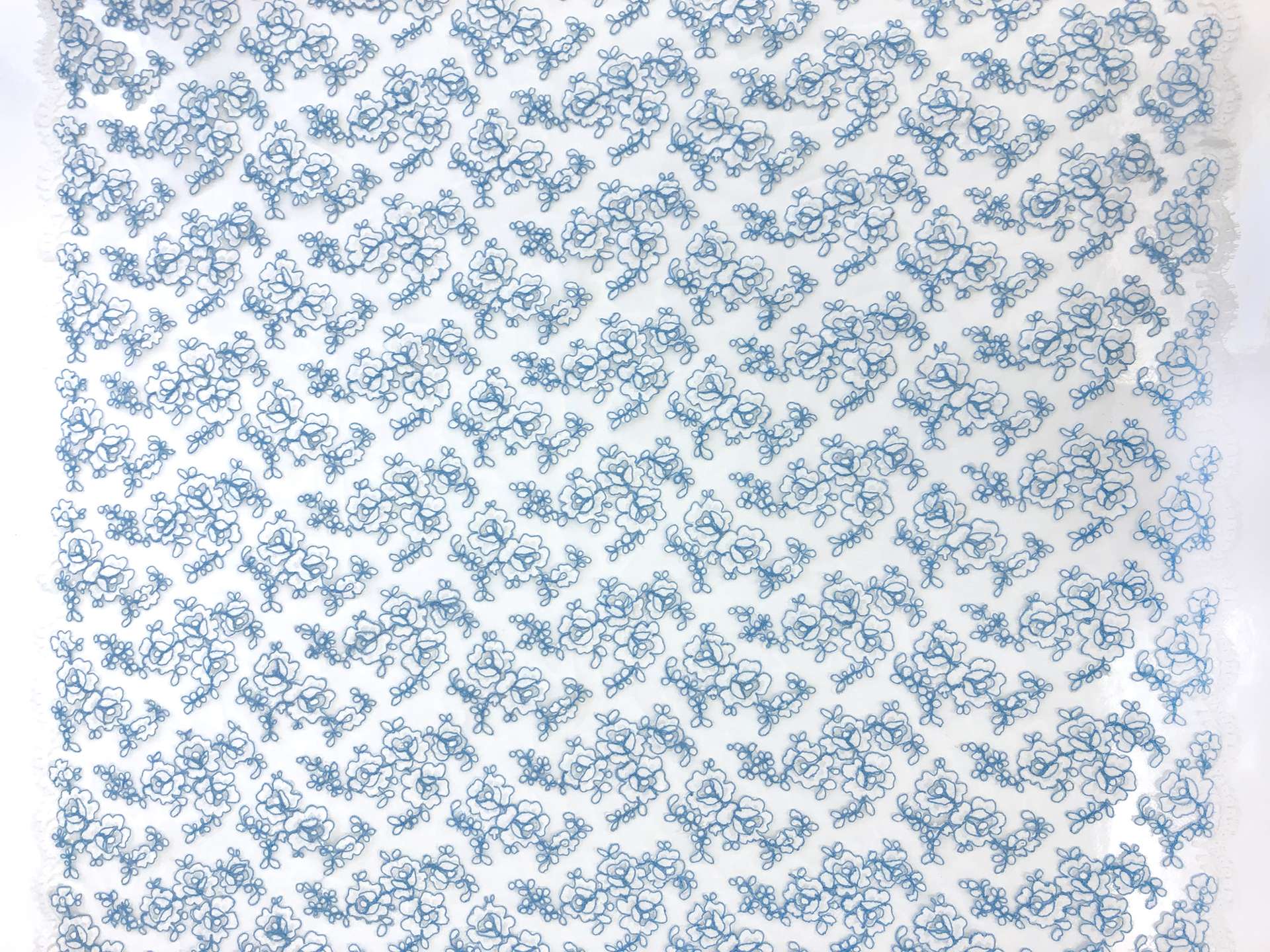 Double scallop floral corded French Chantilly Lace in White and Sky Blue