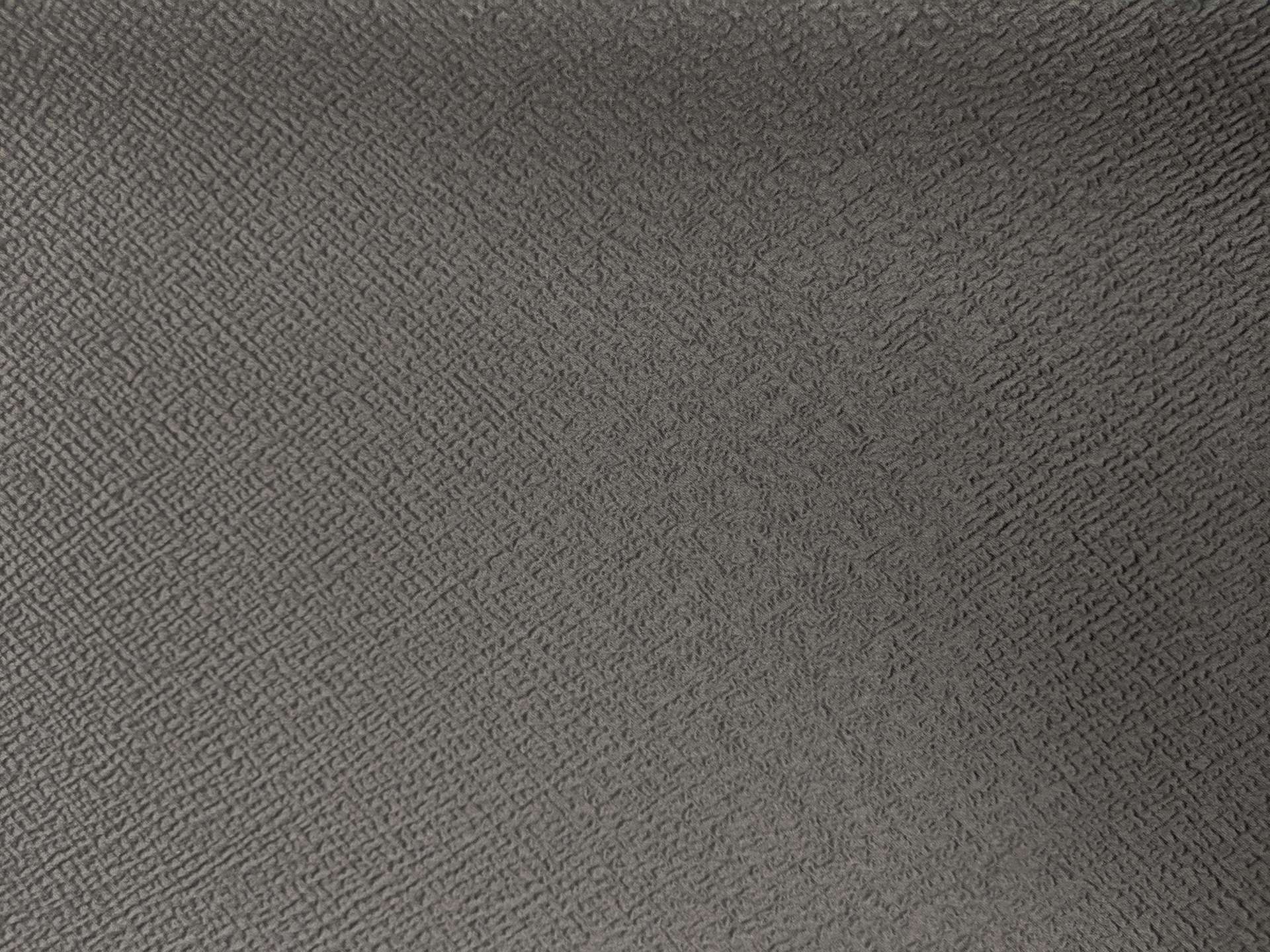 Swiss and Polyester Blend Metallic Cloqué