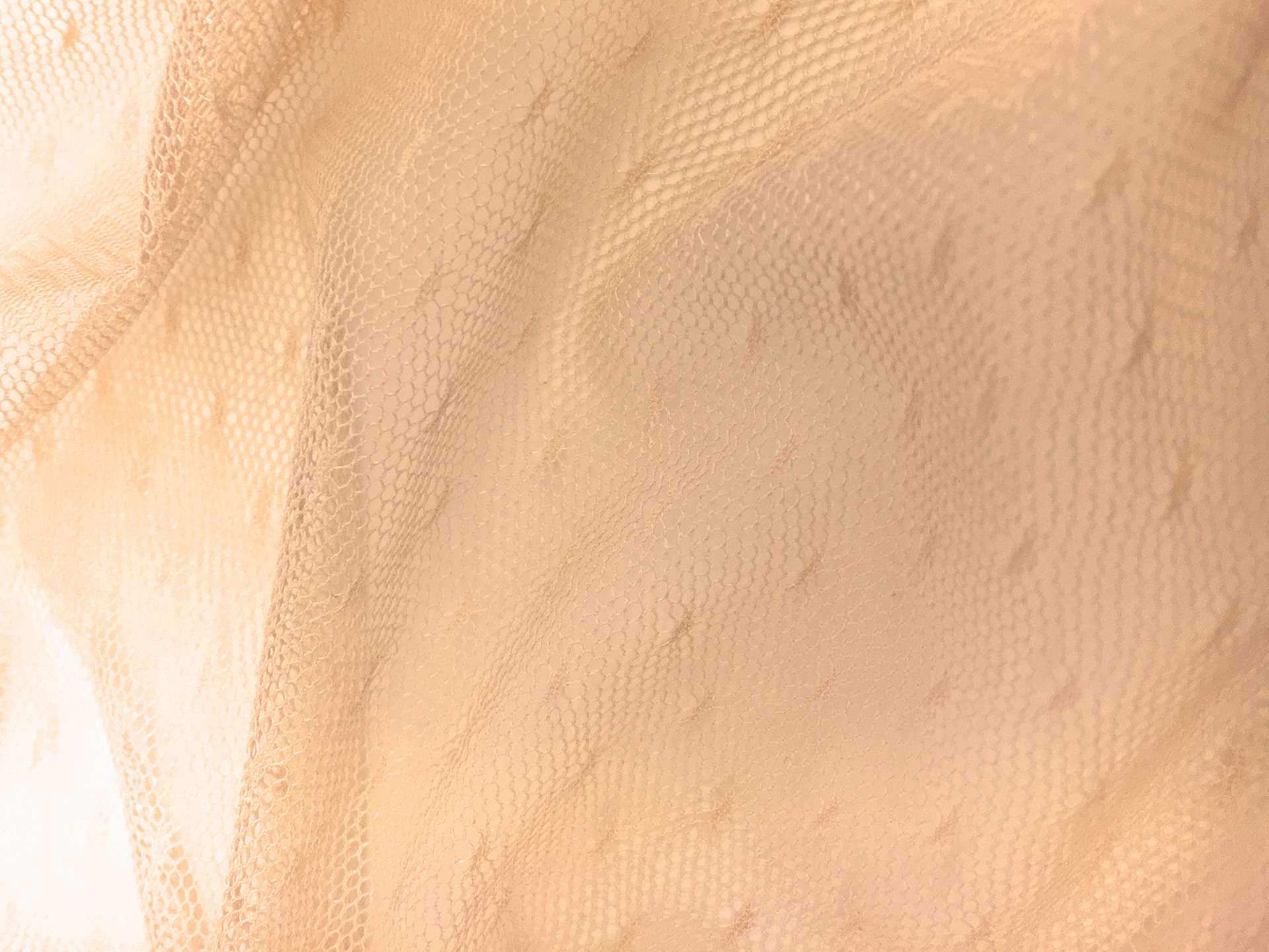 Point D'Esprit in Nude