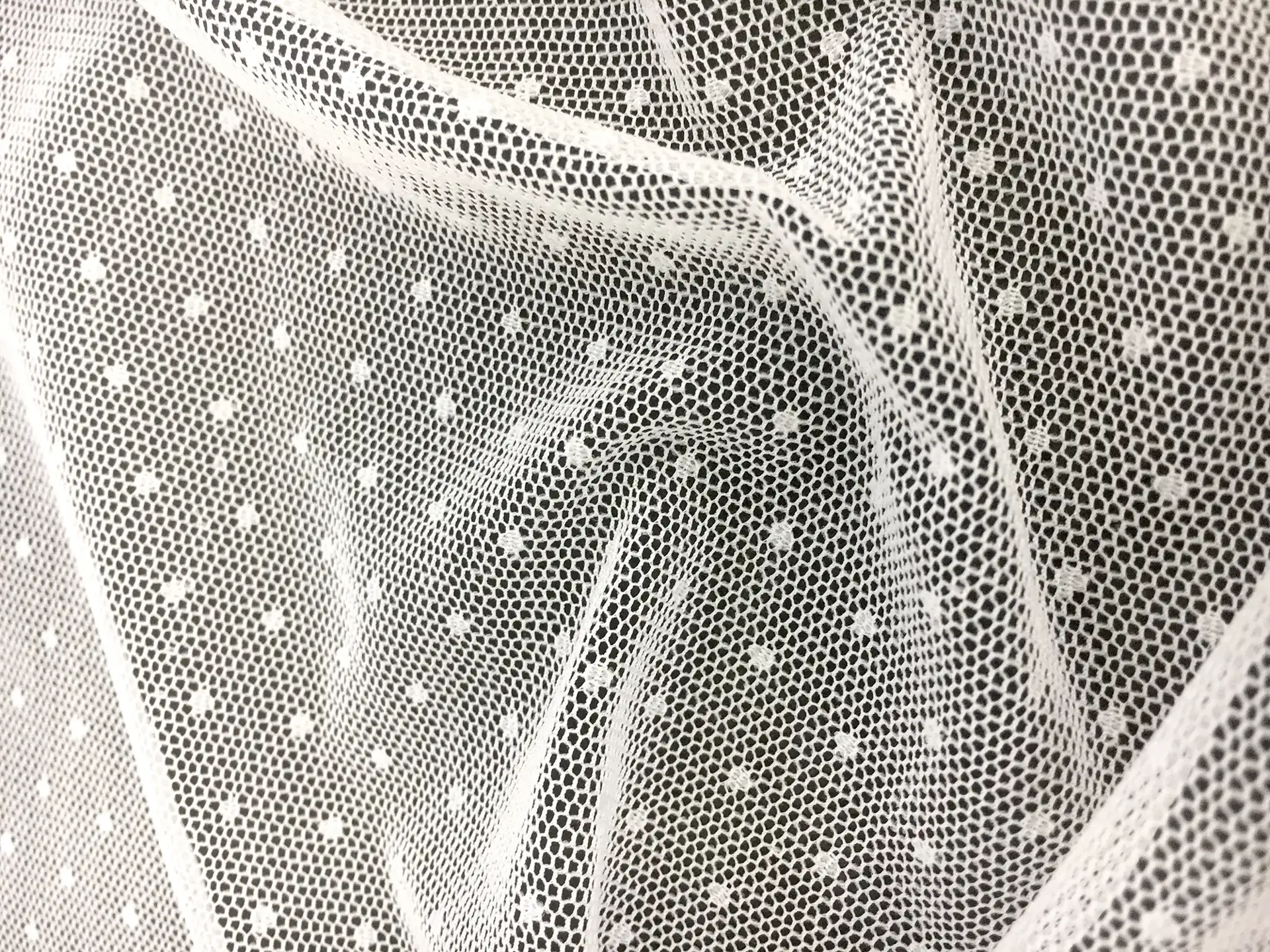 Point D'Esprit in White