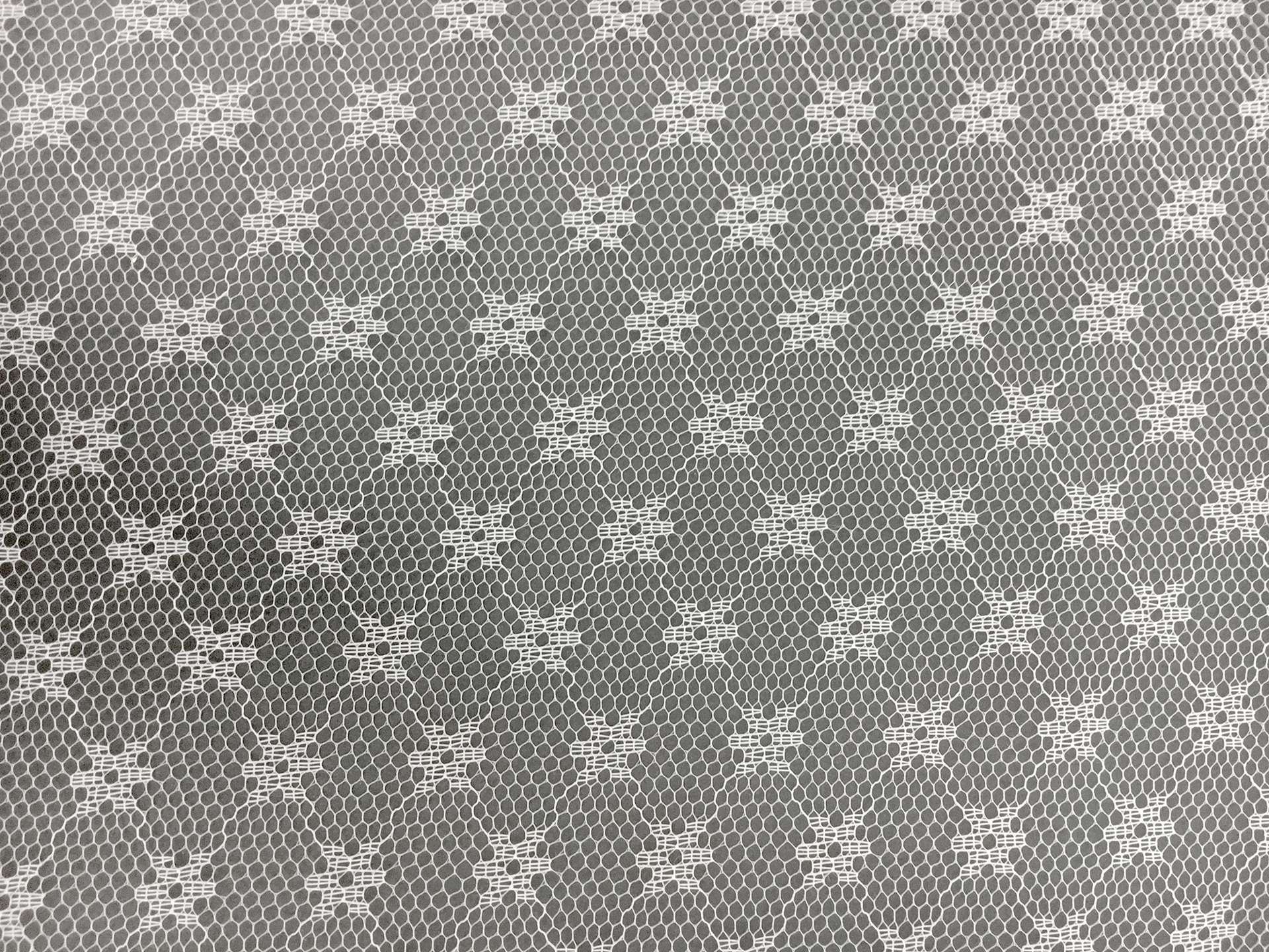 Novelty Nylon Tulle in White 