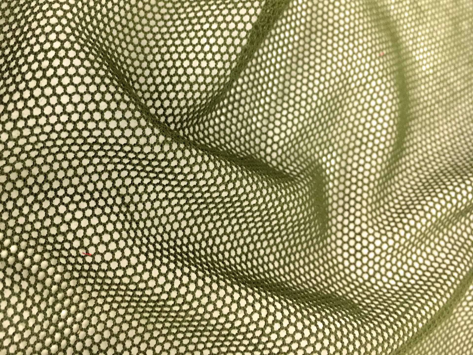 Swiss Cotton Bobbinet in Green