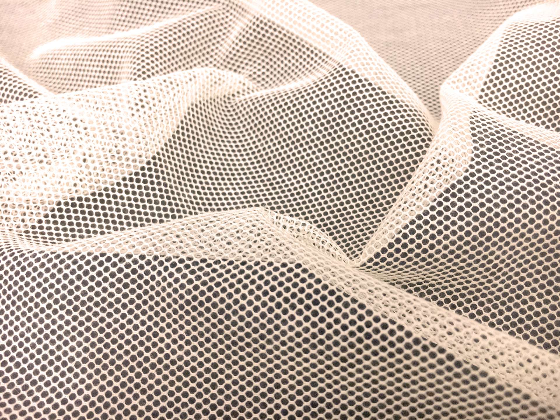 Swiss Cotton Bobbinet in Cream