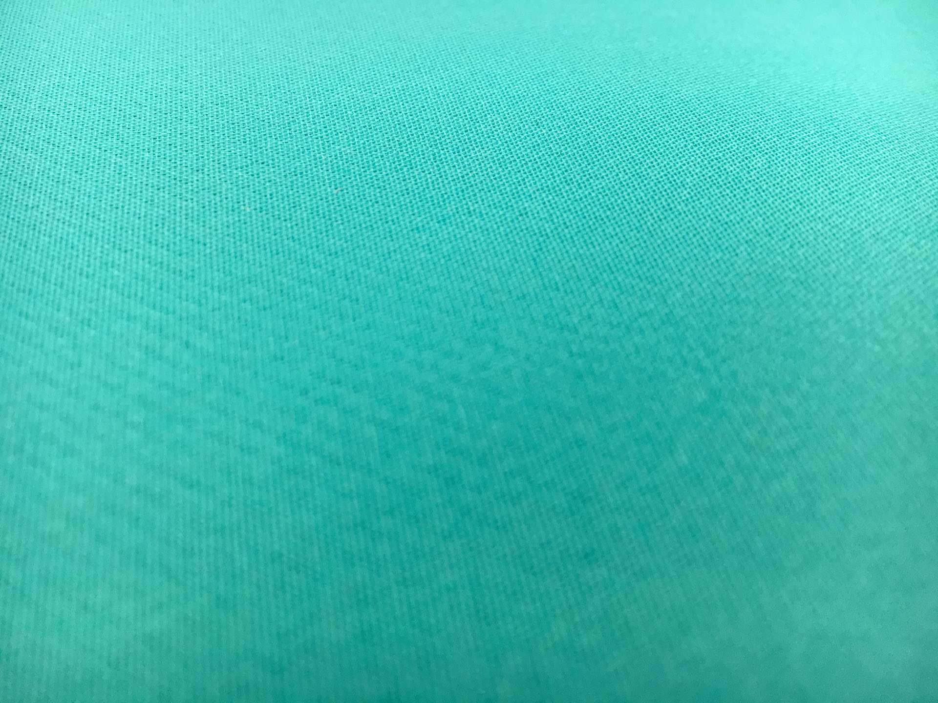 Silk Gazar in Turquoise