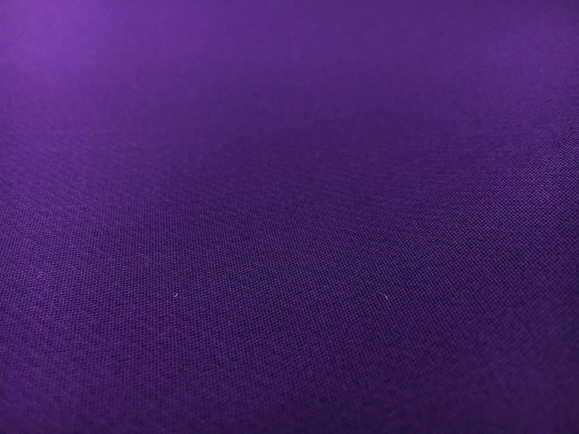 Silk Gazar in Purple
